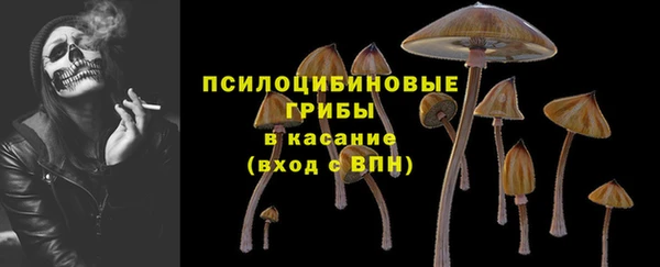 сатива Киреевск