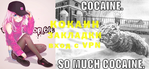 сатива Киреевск