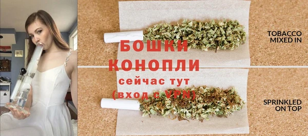 сатива Киреевск