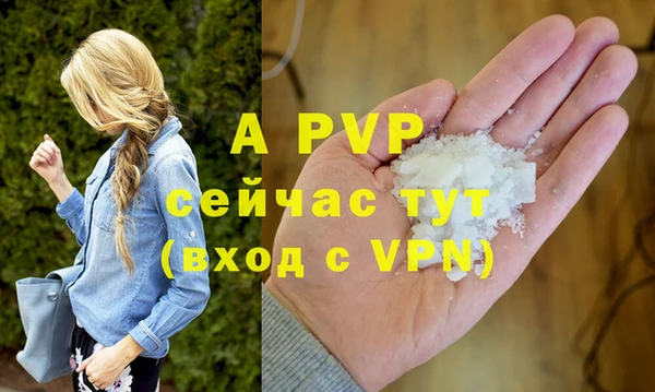 гидра Кинешма