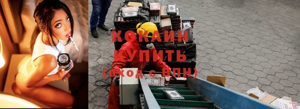 сатива Киреевск