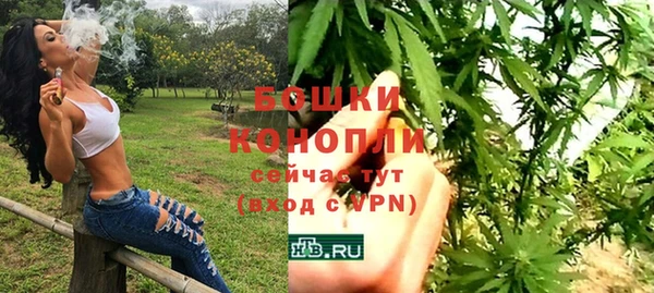 гидра Кинешма