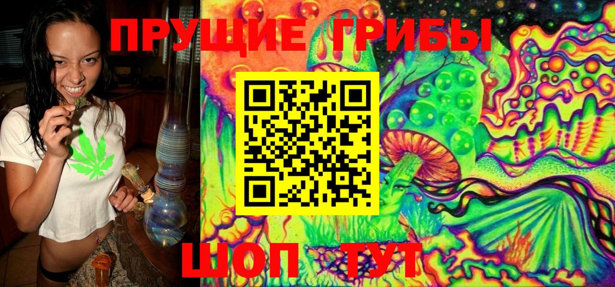 Псилоцибиновые грибы Magic Shrooms Сибай