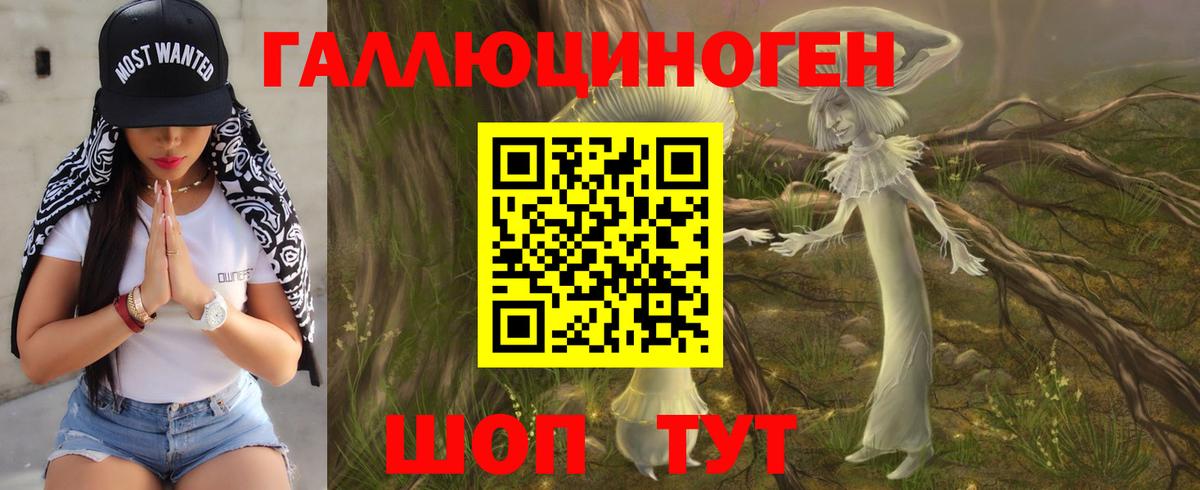Псилоцибиновые грибы мухоморы Сибай