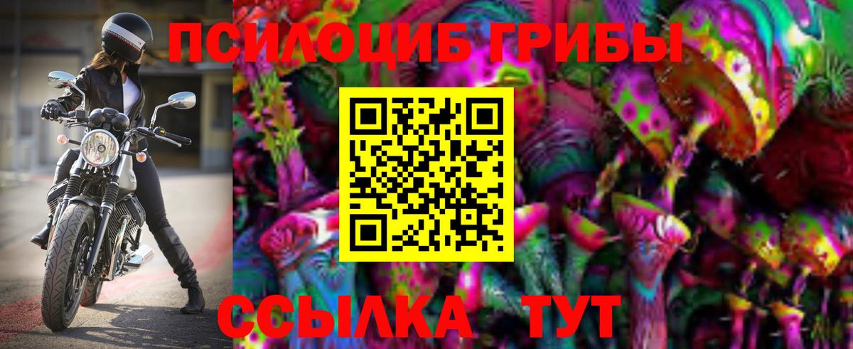 Галлюциногенные грибы мицелий  Псилоцибиновые грибы мухоморы  Сибай  Вход с VPN 